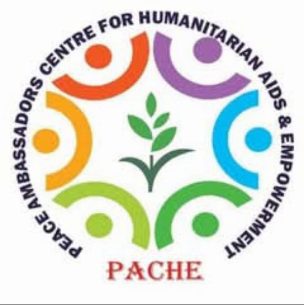 Borno govt, PACHE Use Creative Arts To Promote Post-Insurgency Peace