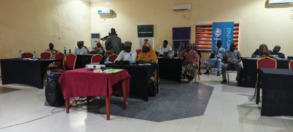 Failure of Borno Reintegration Model May Endanger Protection of Women, Children – UNICEF