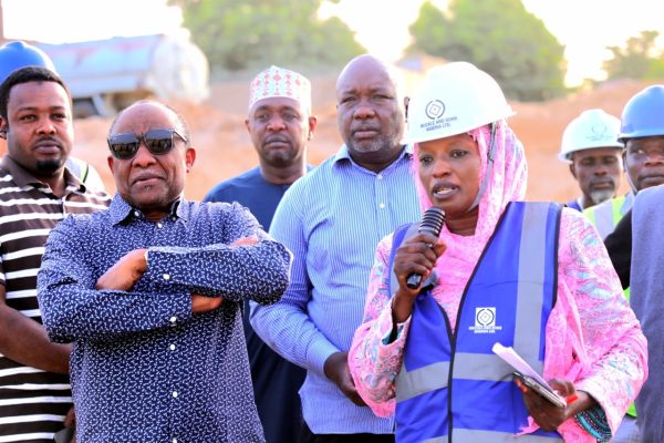 NEDC MD Inspects Galtimari, Moromoro Bridges in Maiduguri